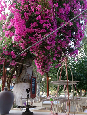 Nostos Restaurant Beautiful View